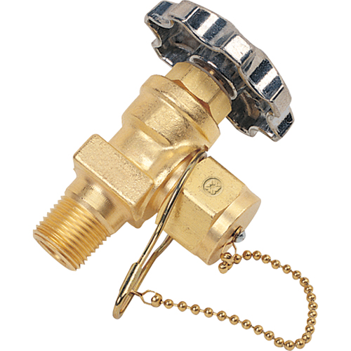 Station Valve with Dust Cap & Chain, Brass EastCoast Offshore Supplies