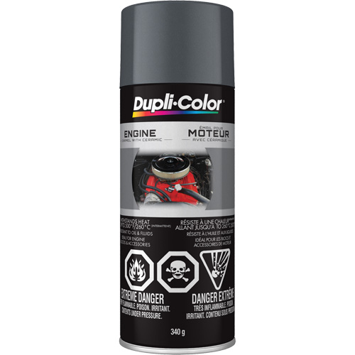 Peinture &agrave; &eacute;mail avec c&eacute;ramique pour moteur, Fonte grise, Tr&egrave;s brillant, 12 oz, Canette a&eacute;rosol EastCoast Offshore Supplies