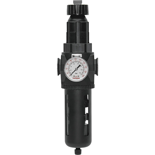 Filtre/r&eacute;gulateur Modulair 400 avec vidange manuelle, 3/4" NPT, 200 psi, Capacit&eacute; de 9,1 oz liq. EastCoast Offshore Supplies
