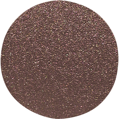 Wood Sanding Disc, 12" Dia., 100 Grit EastCoast Offshore Supplies