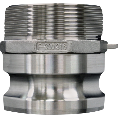 Cam & Groove Coupling, Stainless Steel, Type F, 3/4", Male NPT, 250 PSI EastCoast Offshore Supplies