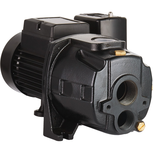 Dual Voltage Cast Iron Convertible Jet Pump, 115 V/230 V, 1400 GPH, 3/4 HP EastCoast Offshore Supplies