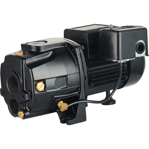 Dual Voltage Cast Iron Convertible Jet Pump, 115 V/230 V, 1400 GPH, 3/4 HP EastCoast Offshore Supplies