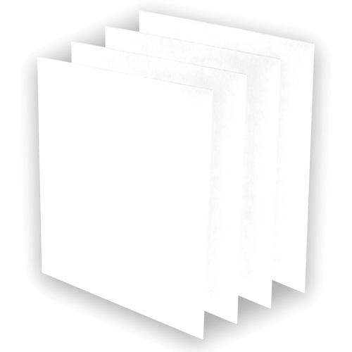 AeraMax&reg; Pro AM3 or AM4 Pre-Filters, 13.75" W x 0.13" D x 14.38" H EastCoast Offshore Supplies