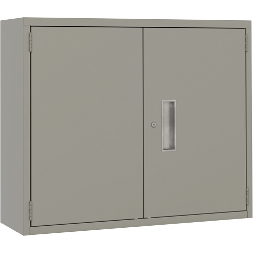 Wall Mounted Cabinet, Steel, 2 Shelves, 30" H x 36" W x 12" D, Grey EastCoast Offshore Supplies