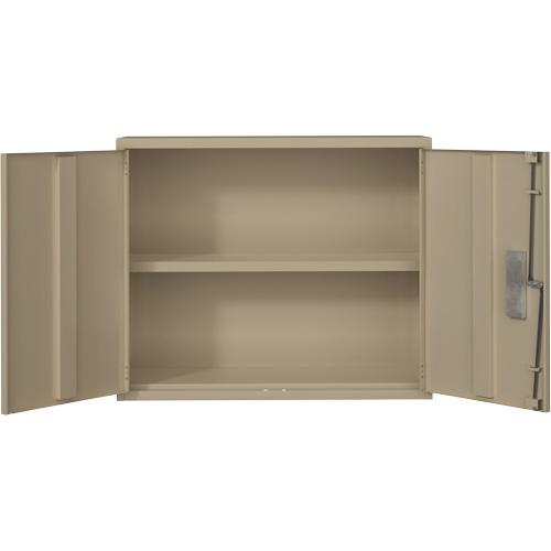Wall Mounted Cabinet, Steel, 2 Shelves, 30" H x 36" W x 12" D, Beige EastCoast Offshore Supplies