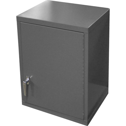 Armoire murale, 27" h x 13-11/16" la x 18" p, 2 tablettes, Acier, Gris EastCoast Offshore Supplies