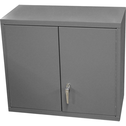 Armoire murale, 27" h x 13-11/16" la x 35-7/8" p, 2 tablettes, Acier, Gris EastCoast Offshore Supplies