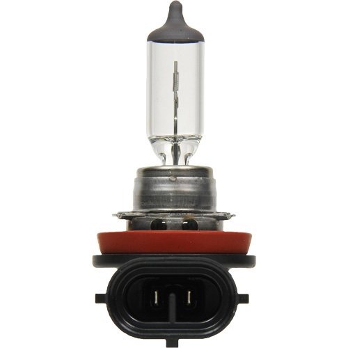 H8 Basic Headlight Bulb, Halogen, 35 W, Off White EastCoast Offshore Supplies