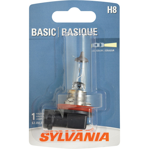 H8 Basic Headlight Bulb, Halogen, 35 W, Off White EastCoast Offshore Supplies