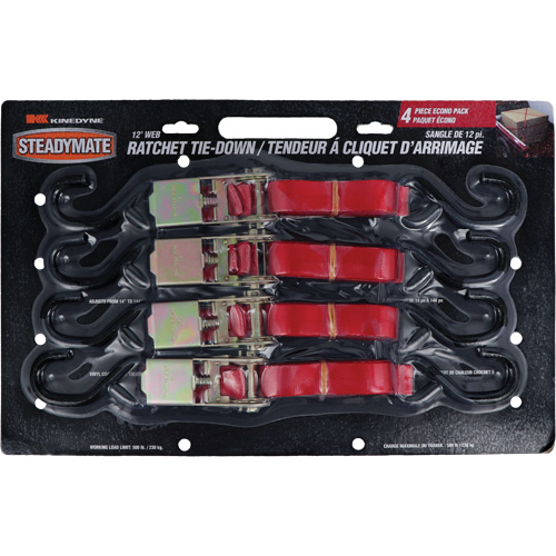 Tendeurs d'arrimage &agrave; cliquet, Crochet en S, 1" , 12' , Charge d'utilisation max. 500 lb (230 kg) EastCoast Offshore Supplies