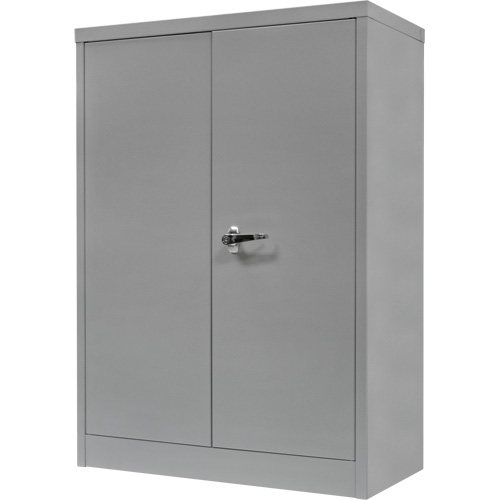 Counter-High Storage Cabinet, Steel, 2 Shelves, 42" H x 30" W x 15" D, Grey EastCoast Offshore Supplies