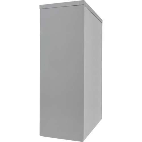 Counter-High Storage Cabinet, Steel, 2 Shelves, 42" H x 30" W x 15" D, Grey EastCoast Offshore Supplies