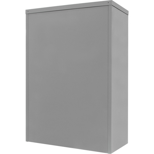 Counter-High Storage Cabinet, Steel, 2 Shelves, 42" H x 30" W x 15" D, Grey EastCoast Offshore Supplies