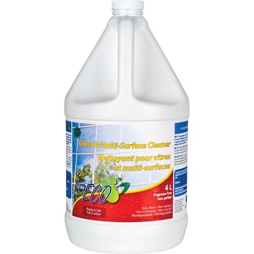 Glass & Multi-Surface Cleaners, 4 L, Jug EastCoast Offshore Supplies