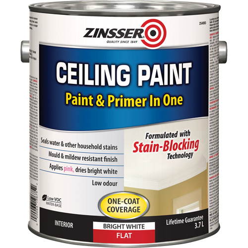 Ceiling Paint & Primer in One, White, Very Flat, 3.78 L, Gallon EastCoast Offshore Supplies