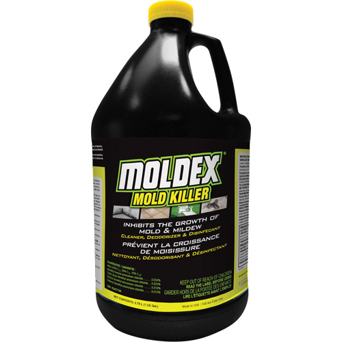 D&eacute;sinfectant contre les moisissures Moldex, 3,78 L, Cruche EastCoast Offshore Supplies