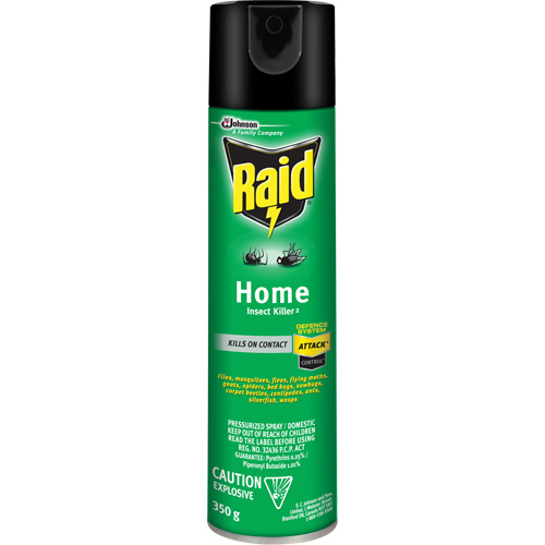 Raid&reg; Home Insect Killer, 350 g, Solvent Base EastCoast Offshore Supplies
