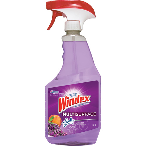 Windex&reg; Multi-Surface Cleaner, 765 ml, Trigger Bottle EastCoast Offshore Supplies