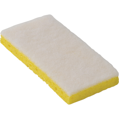 745W Light-Duty Scouring Sponges, 6-1/4" L x 3-1/5" W EastCoast Offshore Supplies
