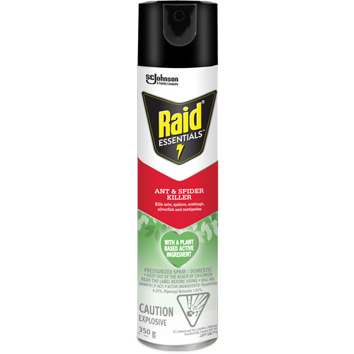Raid&reg; Essentials Ant & Spider Killer, 350 g, Aerosol Can EastCoast Offshore Supplies