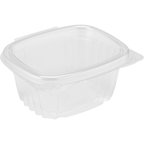 Hinged Lid Deli Container, Plastic EastCoast Offshore Supplies