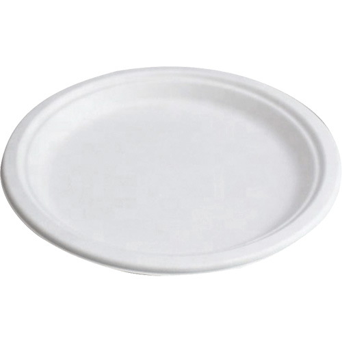 Assiettes compostables EastCoast Offshore Supplies