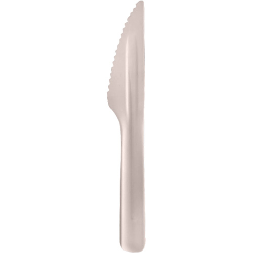 Bagasse Compostable Knives EastCoast Offshore Supplies