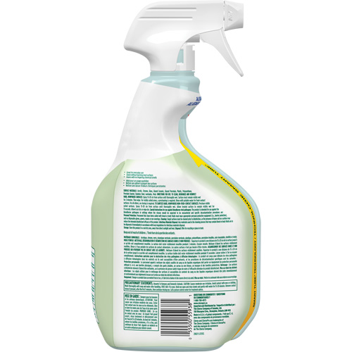 Nettoyant d&eacute;sinfectant CloroxPro Clorox EcoClean, 946 ml, Bouteille &agrave; g&acirc;chette EastCoast Offshore Supplies