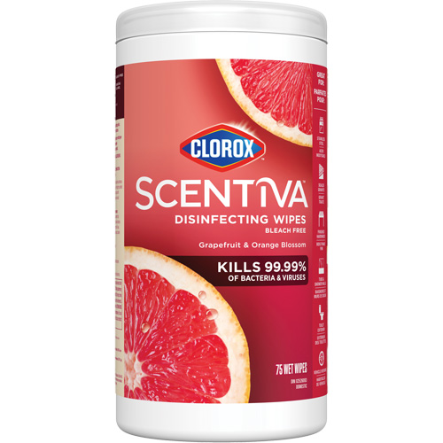 Disinfecting Wipes, 75 Count EastCoast Offshore Supplies