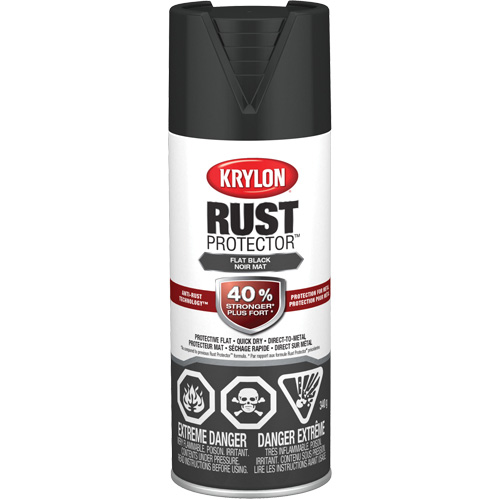 Rust Protector&reg; Enamel Paint, Black, Very Flat, 12 oz., Aerosol Can EastCoast Offshore Supplies
