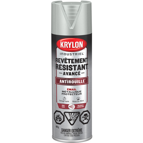 Tough Coat&reg; Advanced Paint with Rust Barrier Technology, Aluminum, Metallic, 425 g, Aerosol Can EastCoast Offshore Supplies