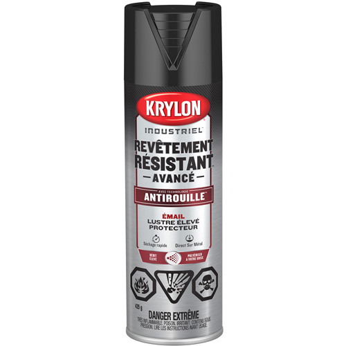 Tough Coat&reg; Advanced Paint with Rust Barrier Technology, Black, High-Gloss, 425 g, Aerosol Can EastCoast Offshore Supplies