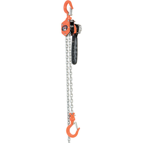 Mini Lever Hoist, 10' Lift, 500 lbs. (0.25 tons) Capacity, Steel Chain EastCoast Offshore Supplies