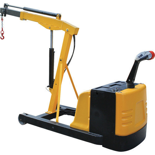 Grue d'atelier &eacute;lectrique, Lev&eacute;e 8,8', 1500 lb (0,75 tonne), 44-1/4" bras, 62-1/4" ha EastCoast Offshore Supplies