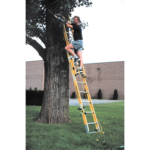Industrial Heavy-Duty Extension Ladders (6200 Series), 375 lbs. Cap., 13' H, Grade 1AA EastCoast Offshore Supplies