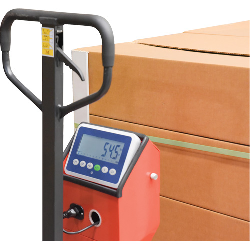 Pallet Truck, 48" L x 27.5" W, 5000 lbs. Cap. EastCoast Offshore Supplies