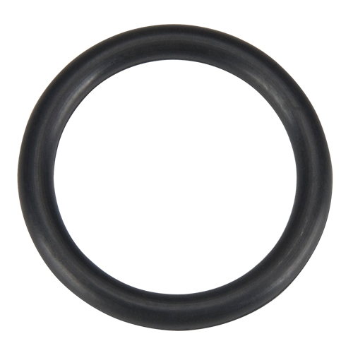O Ring, Plain EastCoast Offshore Supplies