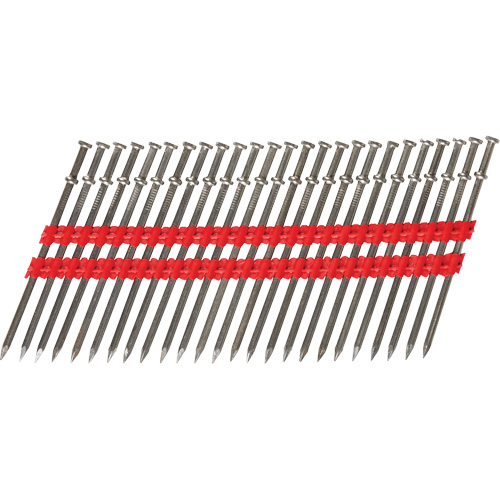 16D Collated Duplex Nails EastCoast Offshore Supplies
