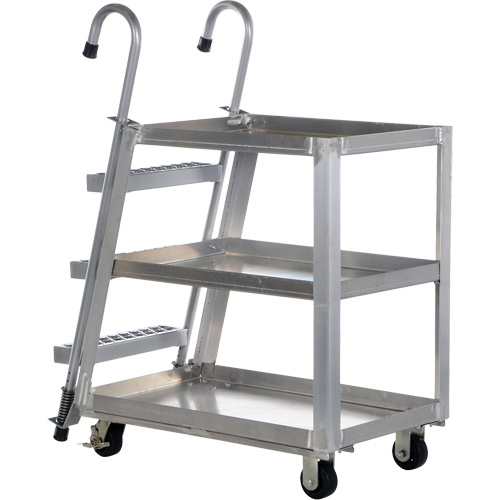 Chariot de pr&eacute;l&egrave;vement de stock, Aluminium, 21-7/8" la x 40" p, 3 tablettes, Capacit&eacute; 660 lb EastCoast Offshore Supplies
