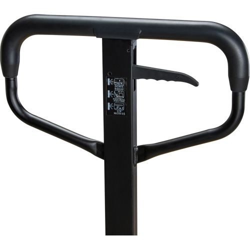 Steel Wheel Pallet Truck, Steel, 48" L x 27" W, 5500 lbs. Capacity EastCoast Offshore Supplies