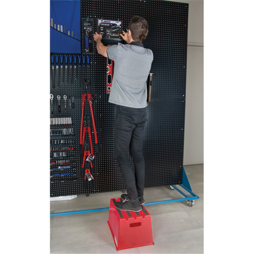 Industrial Step Stool, 20-7/8" x 12-3/16" x 12" High EastCoast Offshore Supplies