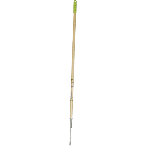 Arrache pissenlits EastCoast Offshore Supplies