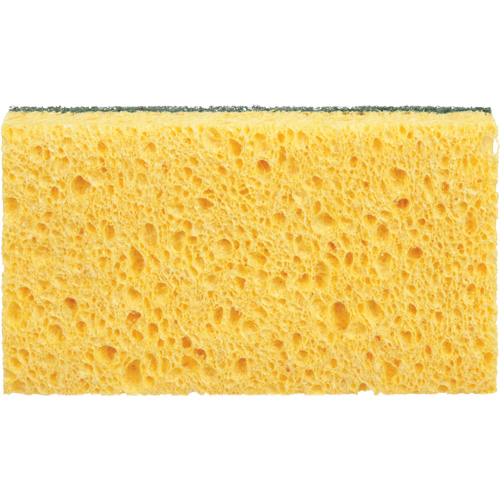 &eacute;ponges utilitaires, Cellulose, 6" la x 3-1/2" l EastCoast Offshore Supplies
