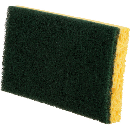 &eacute;ponges utilitaires, Cellulose, 6" la x 3-1/2" l EastCoast Offshore Supplies