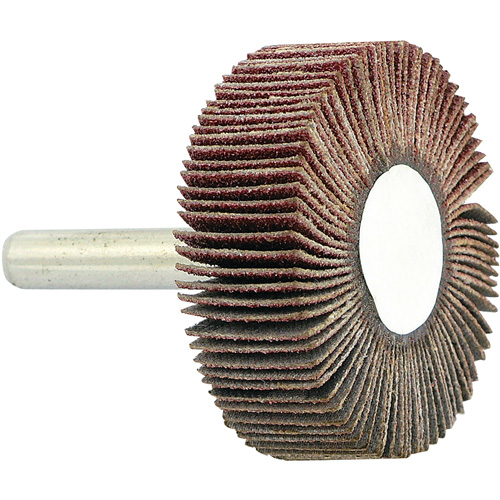 Disque &agrave; lamelles mont&eacute; sur mandrin, Grain 80, 1-1/2" x 1/2" x 1/4" EastCoast Offshore Supplies