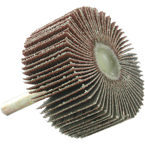 Disque &agrave; lamelles mont&eacute;, Grain 60, 2" x 1" x 1/4" EastCoast Offshore Supplies