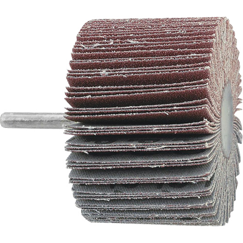 Mounted Flapwheel, 60 Grit, 3" x 1" x 1/4" EastCoast Offshore Supplies