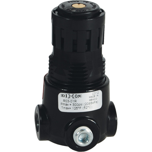 R&eacute;gulateur miniature R03 Wilkerson, 1/4" NPT, PSI max. de 300 psi, Standard EastCoast Offshore Supplies