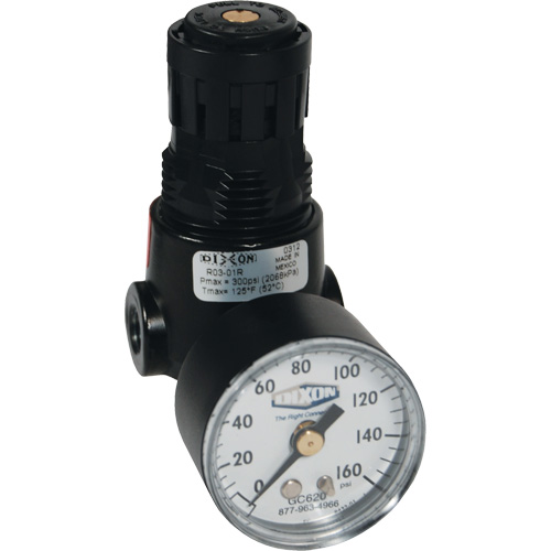 R&eacute;gulateur miniature R04 Wilkerson, 1/4" NPT, PSI max. de 300 psi, Standard EastCoast Offshore Supplies